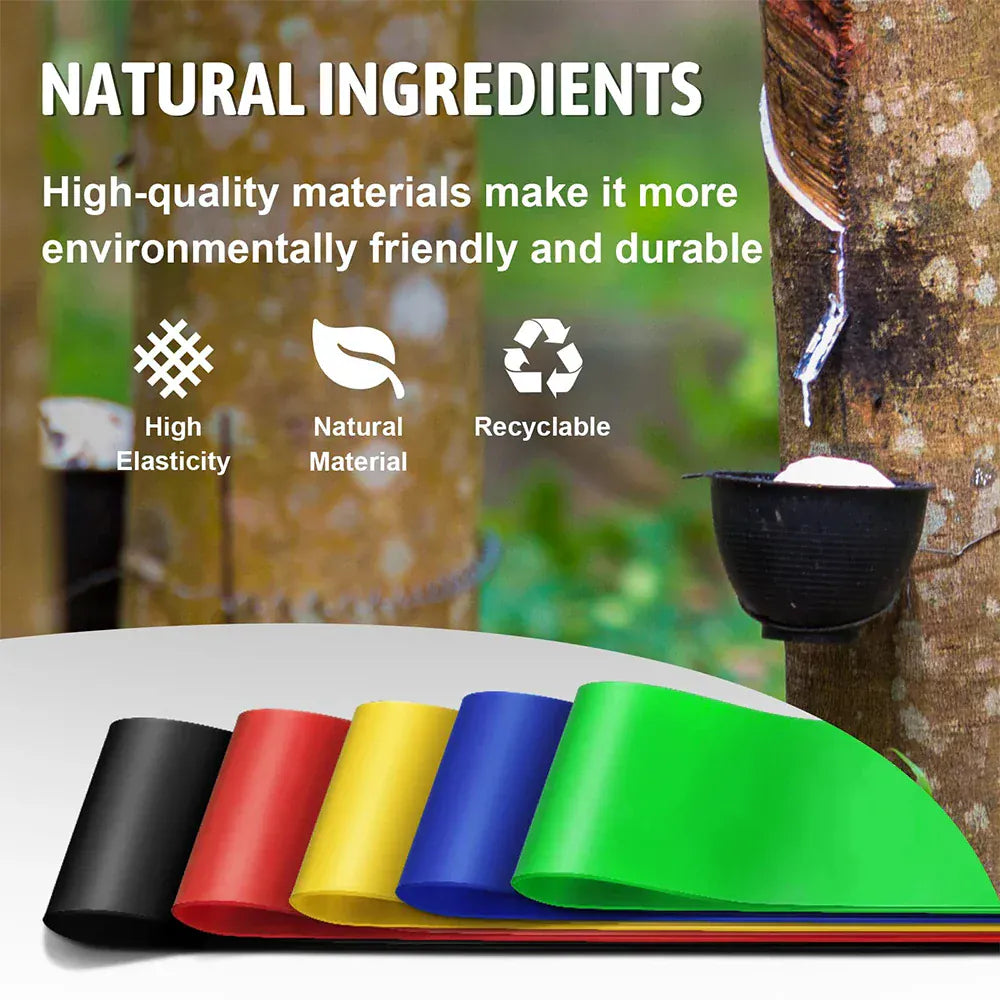 Resistance Bands for Working Out